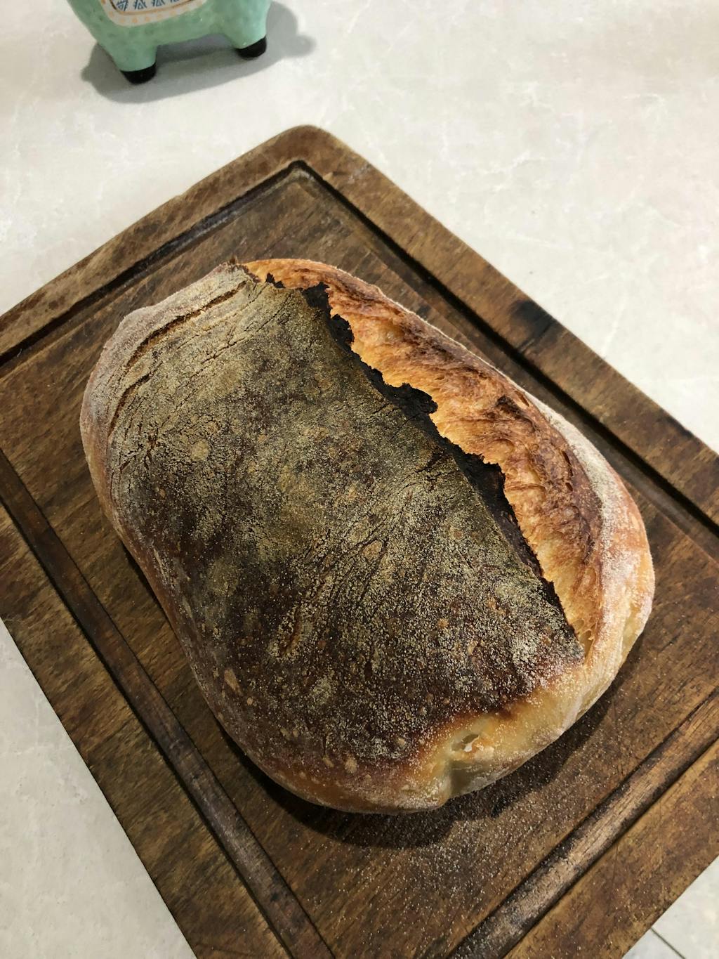 High Protein White Bread Flour You Knead Sourdough