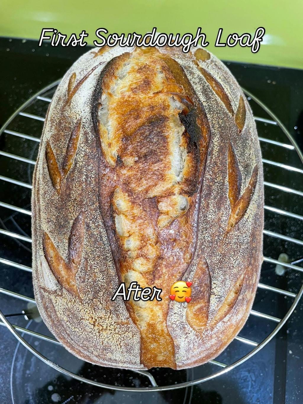 Cast Iron Dutch Oven