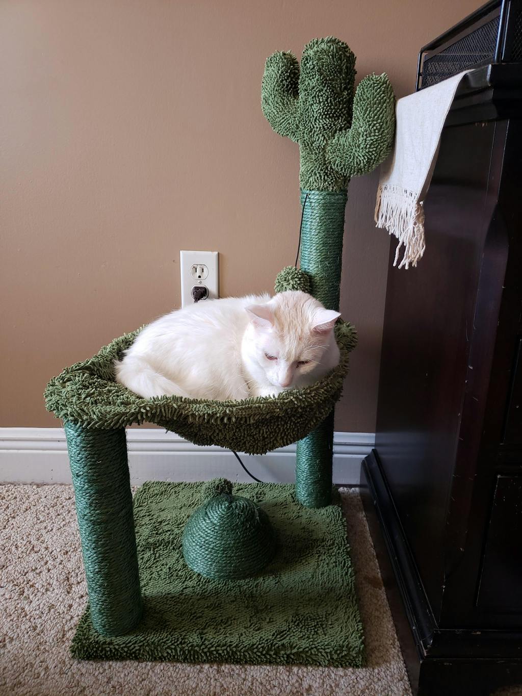 Cactus Cat Scratching Post with Natural Sisal and Hammock Bed For Cat