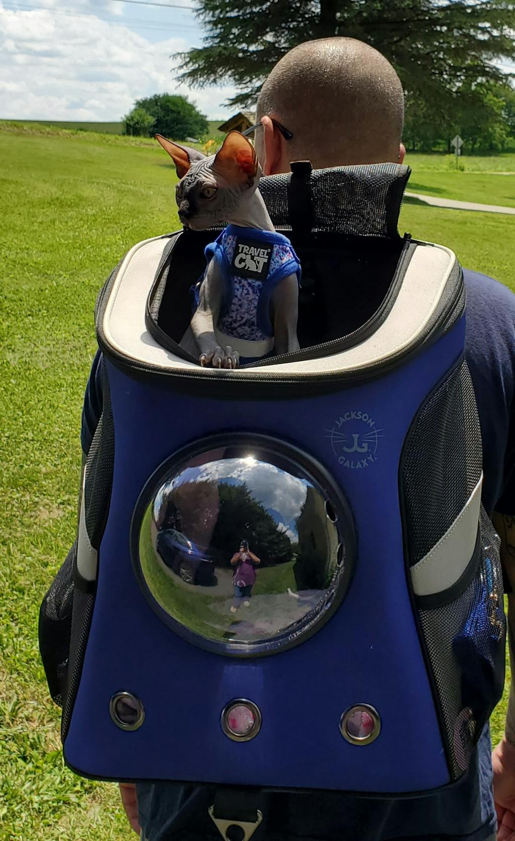 The Jackson Galaxy Essential Bundle Cat Backpack, Harness, Leash, and