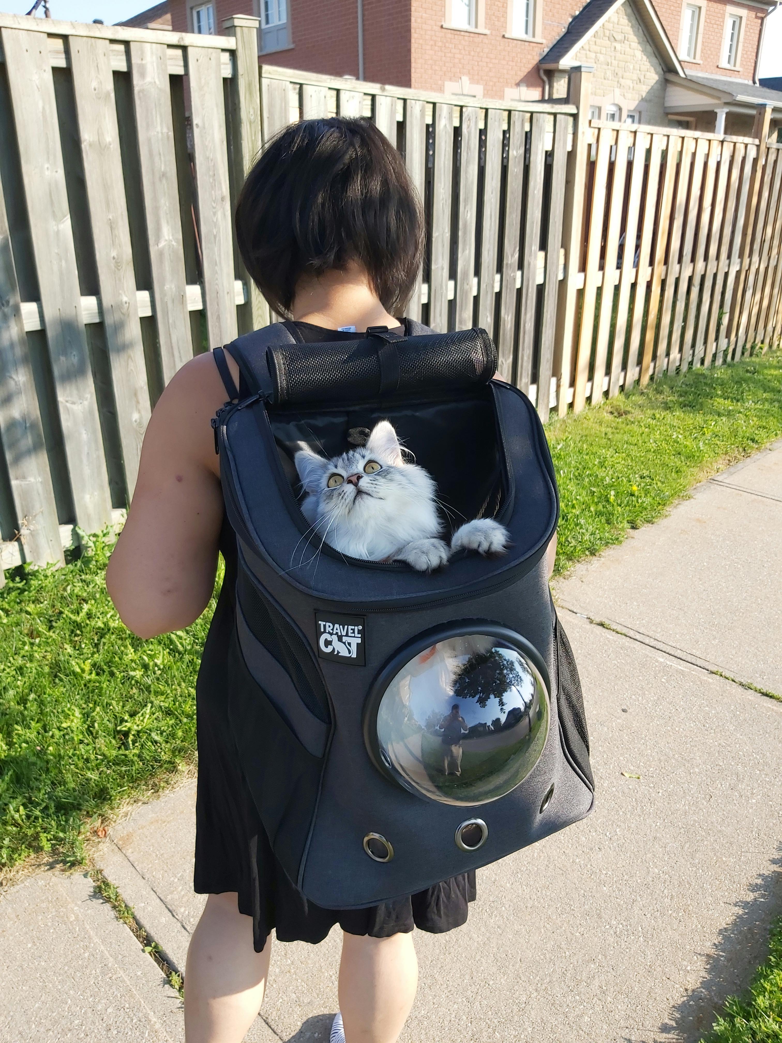 fat cat backpack carrier