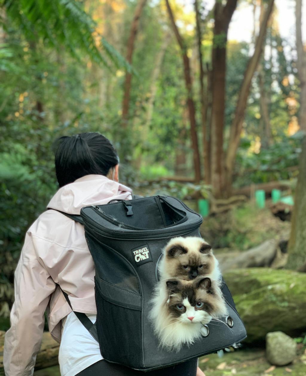 fat cat backpack carrier