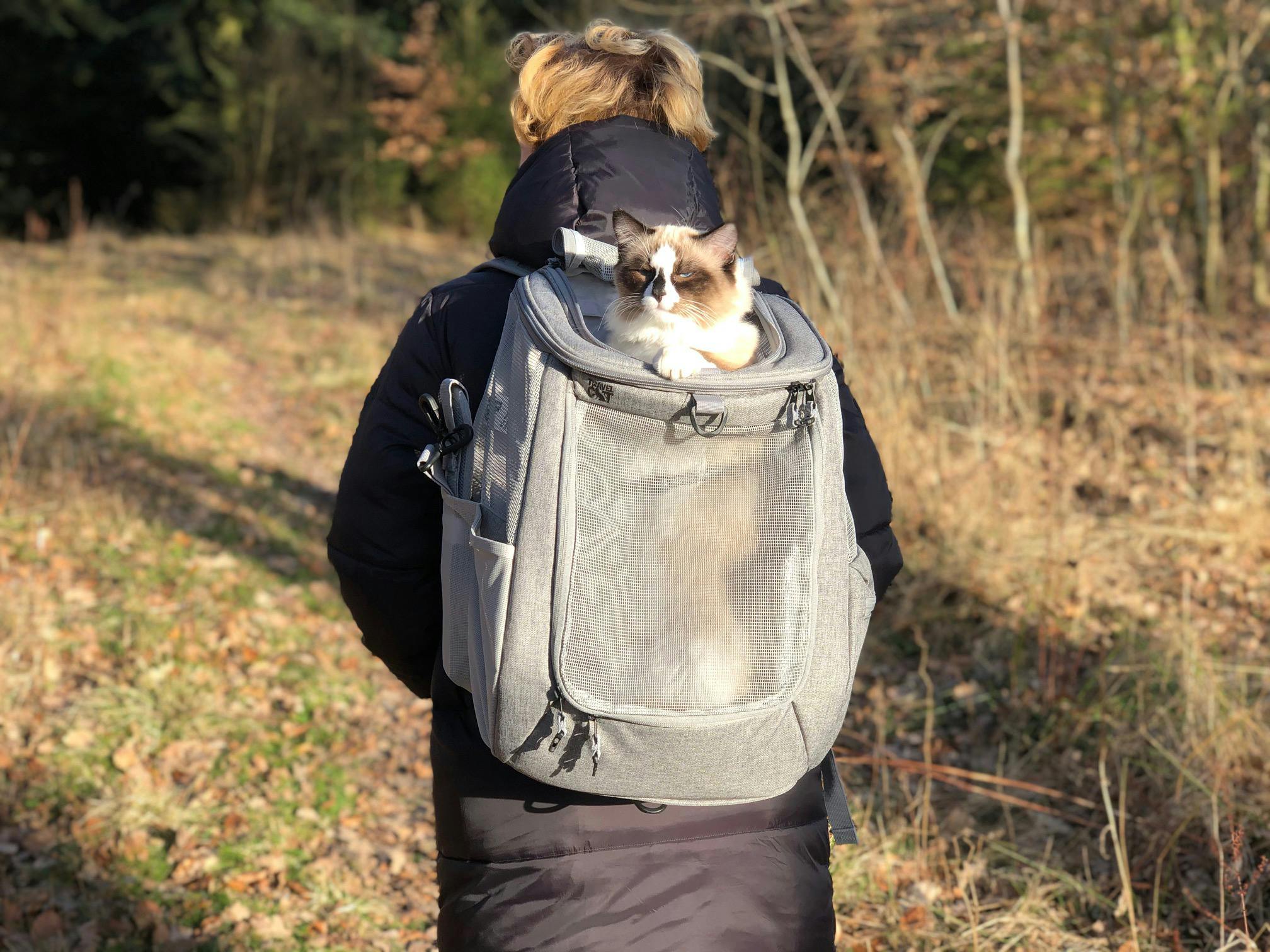 navigator backpack travel cat