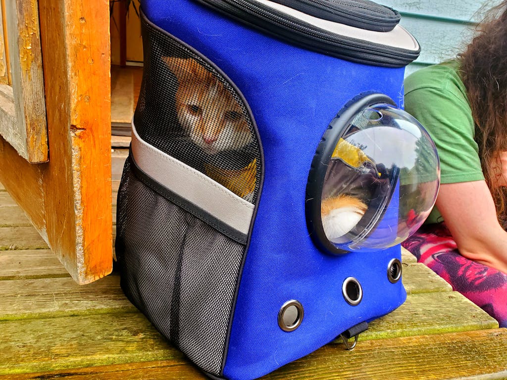 yourcatbackpack