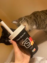 Image de l'utilisateur