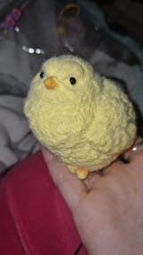 Chicken Taba Squishy Toy (Flocked and non-flocked)