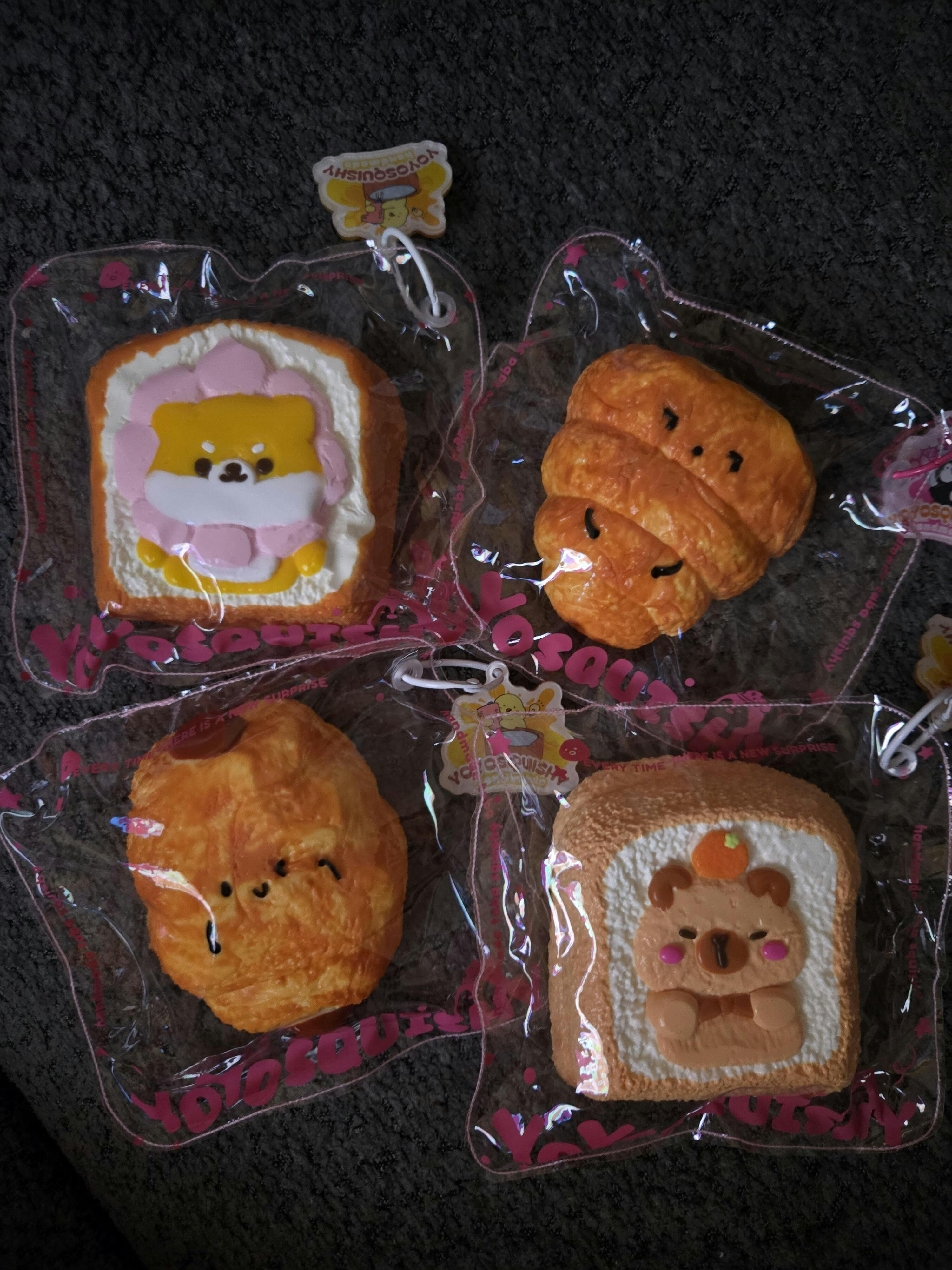 YOYOSQUISHY Animal Toast Series Blind Box 🐾🍞🎁 – yoyosquishy