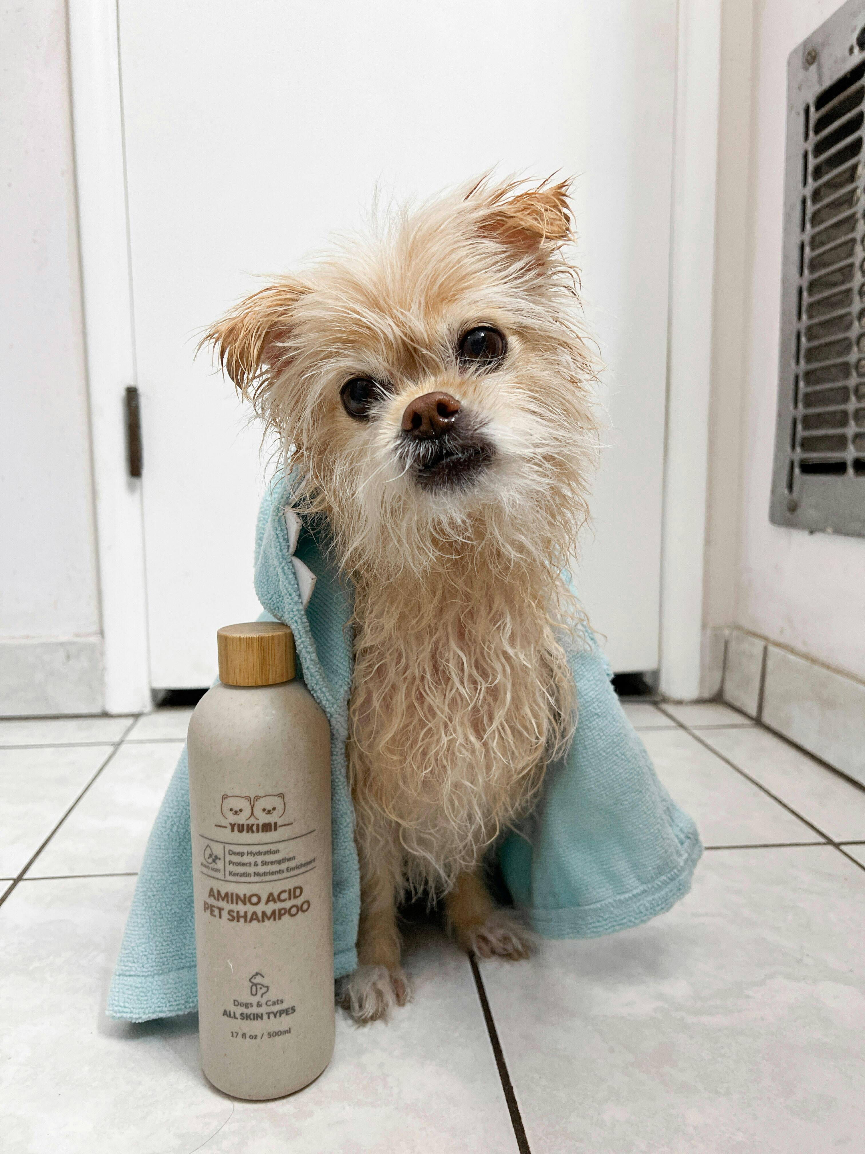 YUKIMI | Amino Acid Pet Shampoo (17 fl oz / 500 ml)