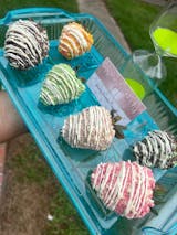 Sample Pack (20 Flavors)