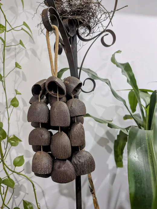 Customer photo of seed specimens styled in a calm home space