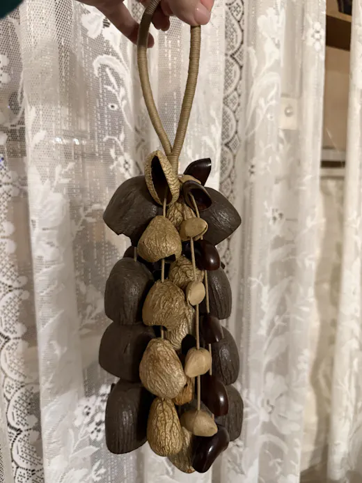Customer photo showing a handcrafted seed specimen piece used as natural decor