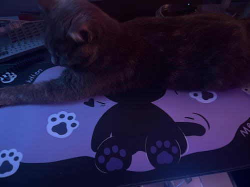 YUNZII Mystery Bundles - Desk Mat