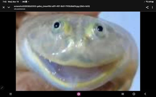 Clip and Lube Stabilizers Service