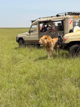 Yusuf Saeed Wild Photography