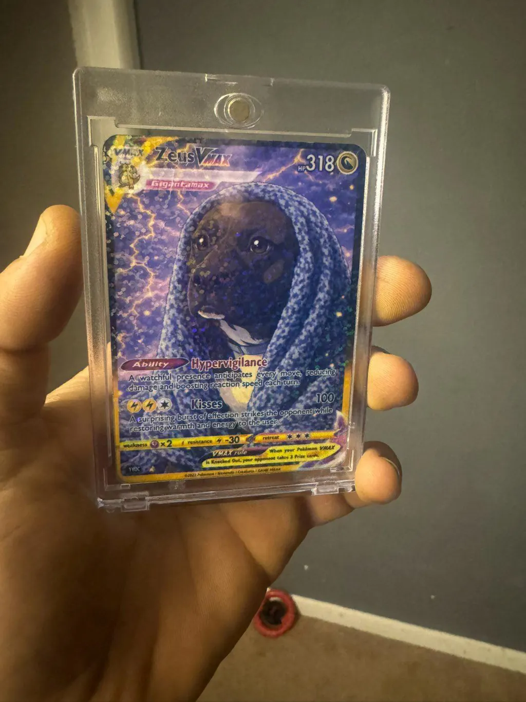 POKÉMON STYLE CARD — PETS