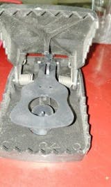 Reusable Heavy Duty Mouse Trap – Safe & Effective Rodent Control