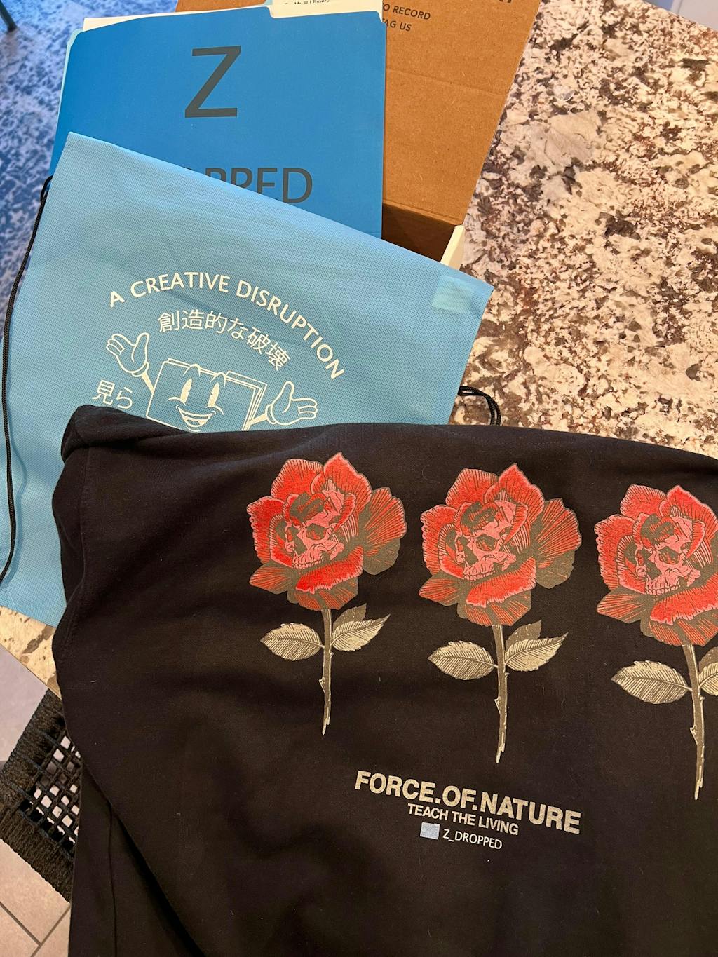 Teach The Living - Heavyweight Hoodie.