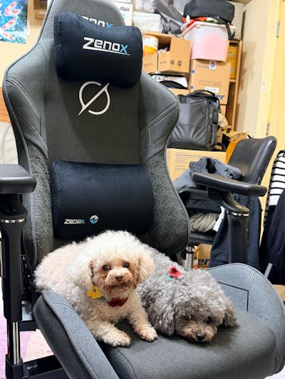 Zenox Saturn Mk-2 Gaming Chair (Fabric/Charcoal)