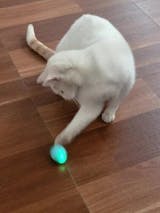 MotionBall™: Movimiento y diversión sin limites