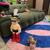 User picture