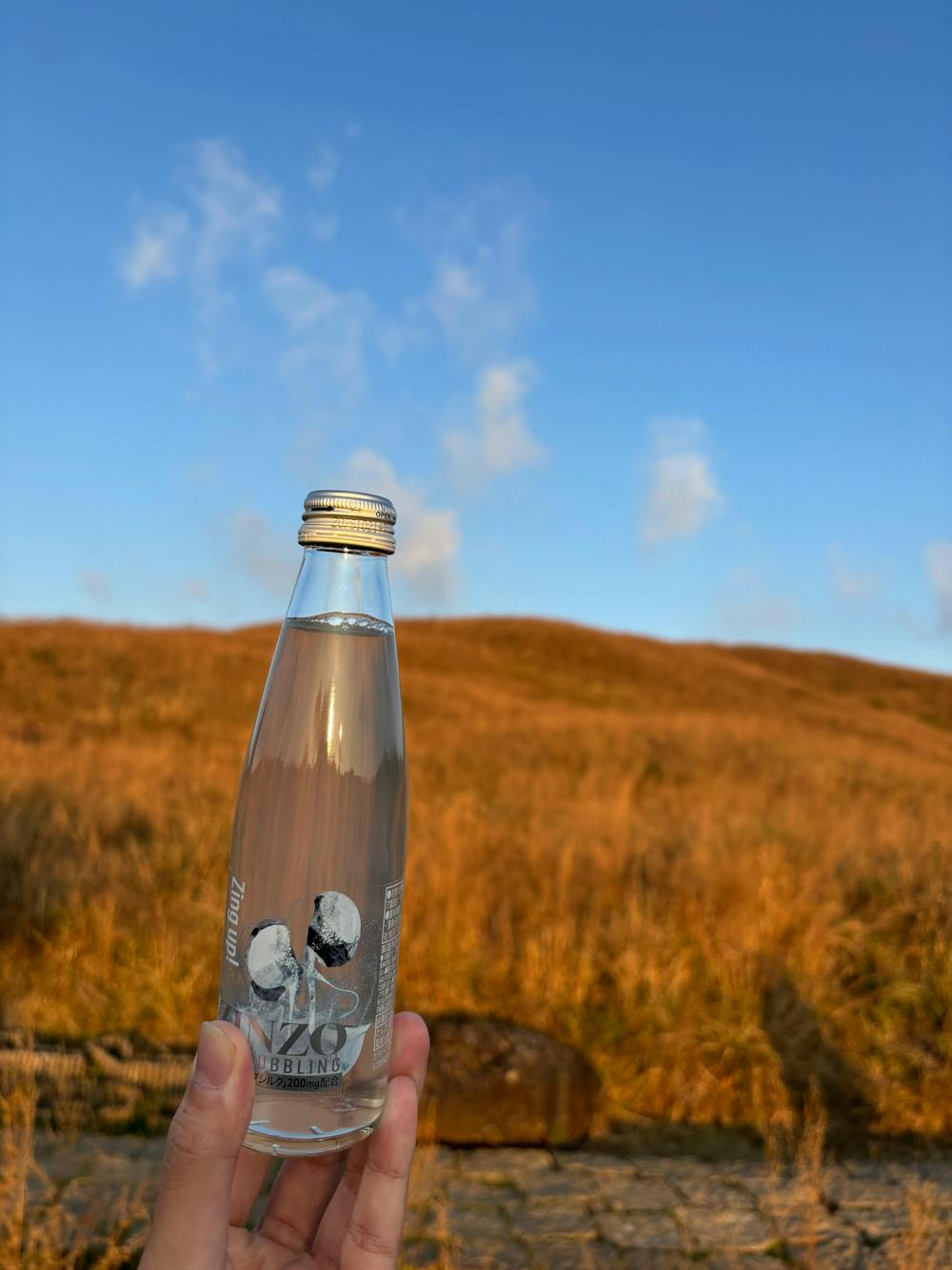 カラダシルク飲料 ZINZO