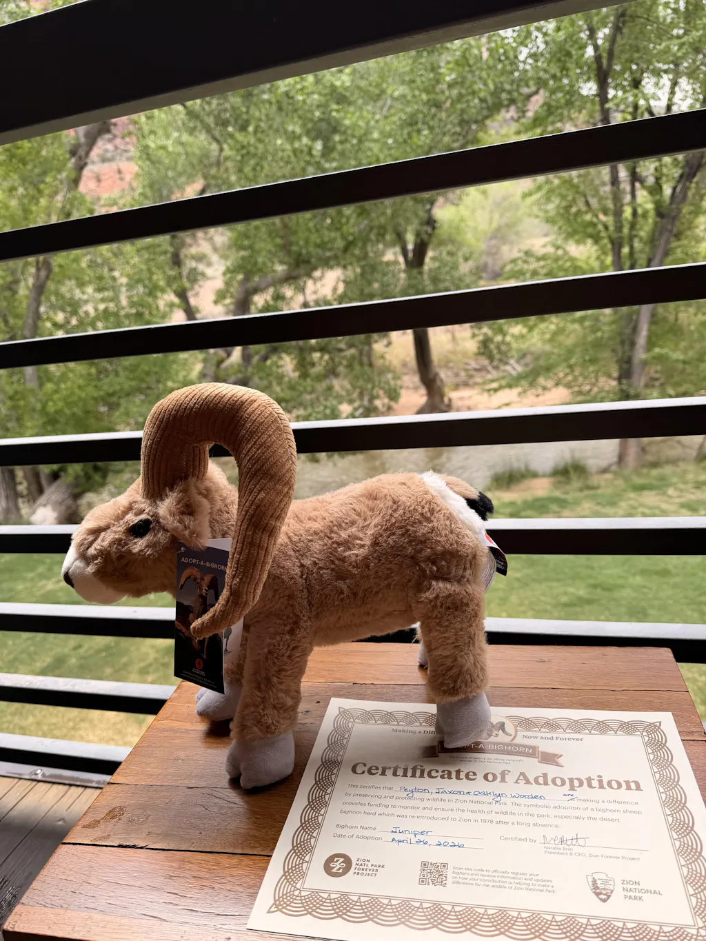 Adopt-A-Bighorn - Plush Zion Custom