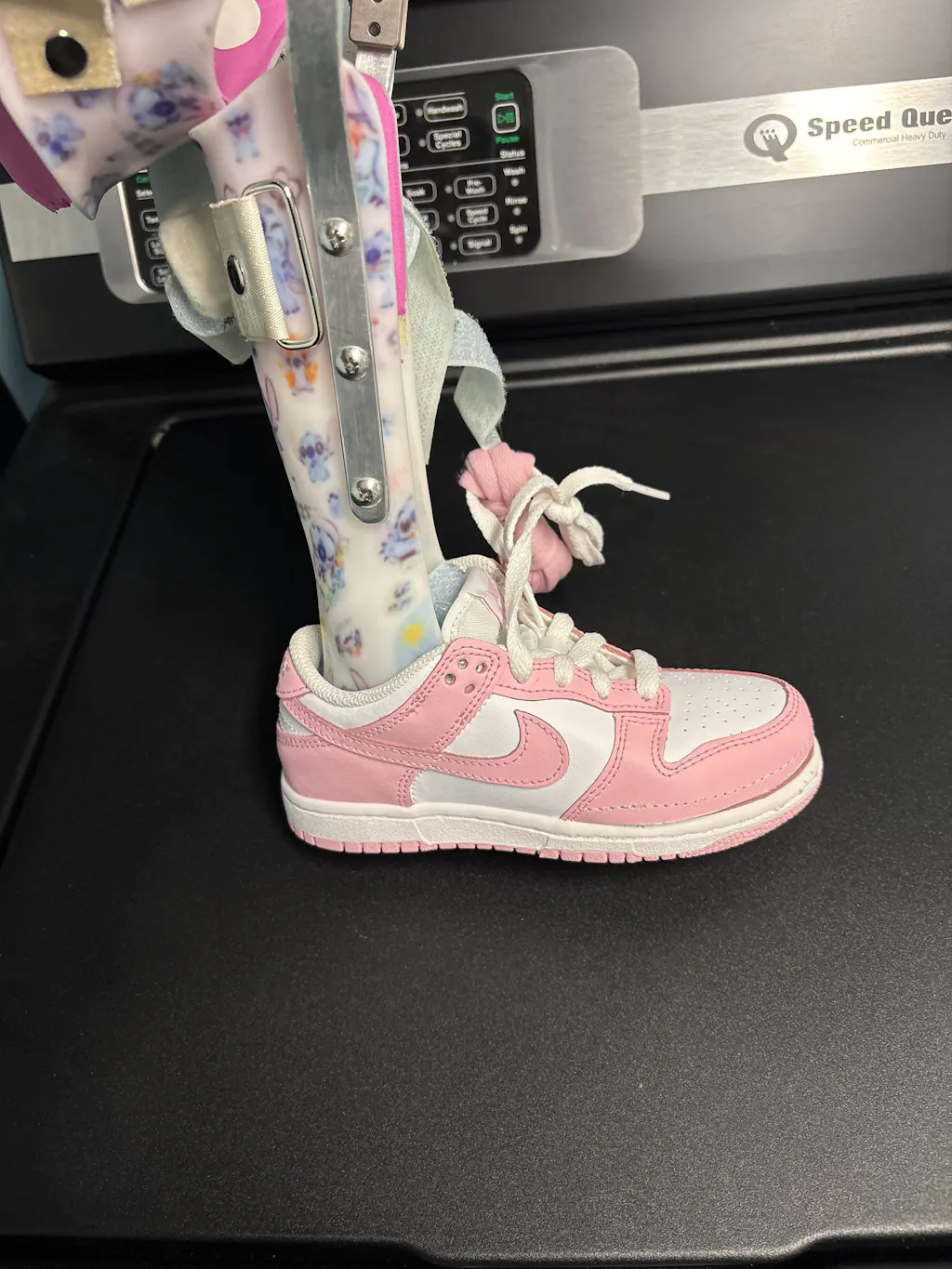 Little Kid Nike Dunk Low Zipped