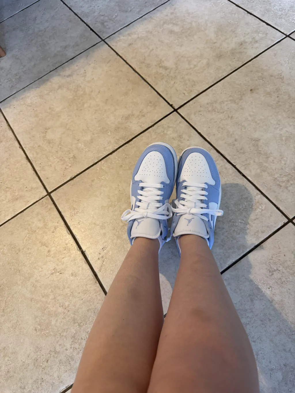 Nike Jordan 1 Low Zipped