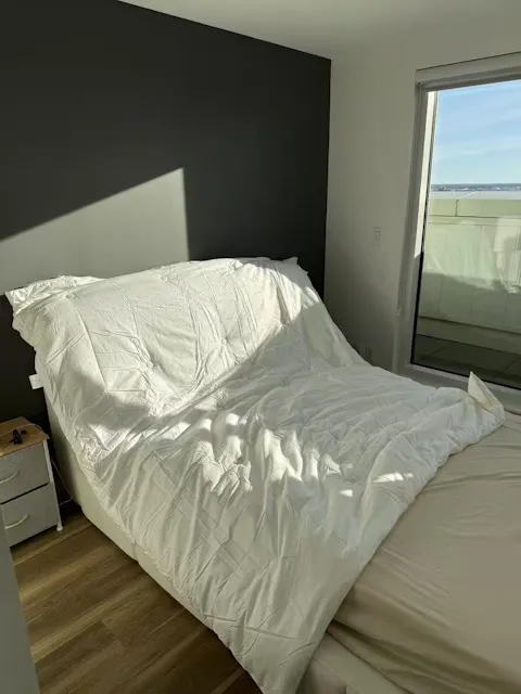 Summer Mulberry Silk Duvet