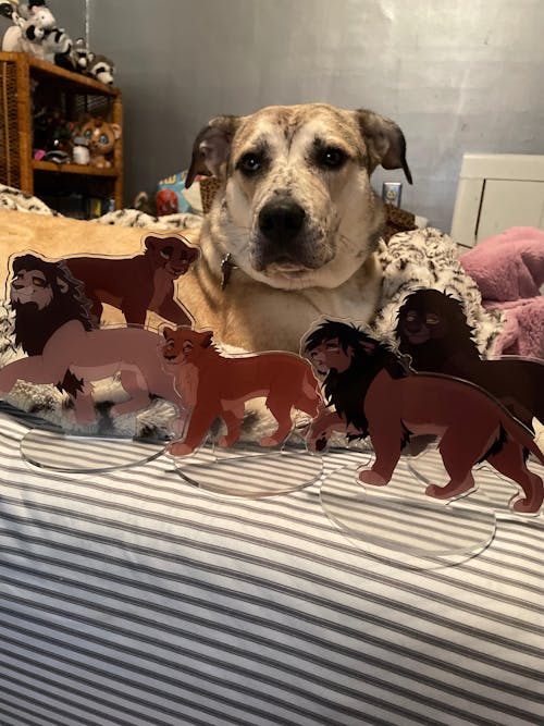 Custom Clear Acrylic Standees