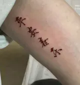 DIY Tulip Flower Sea Cube Night Lamp Kit