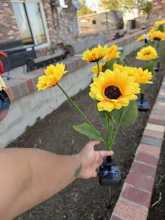 Review picture