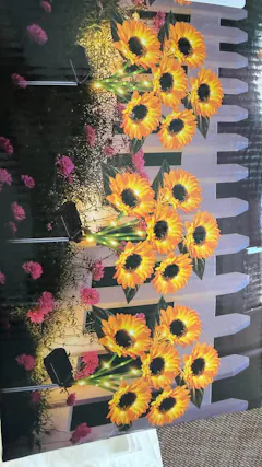 Review picture