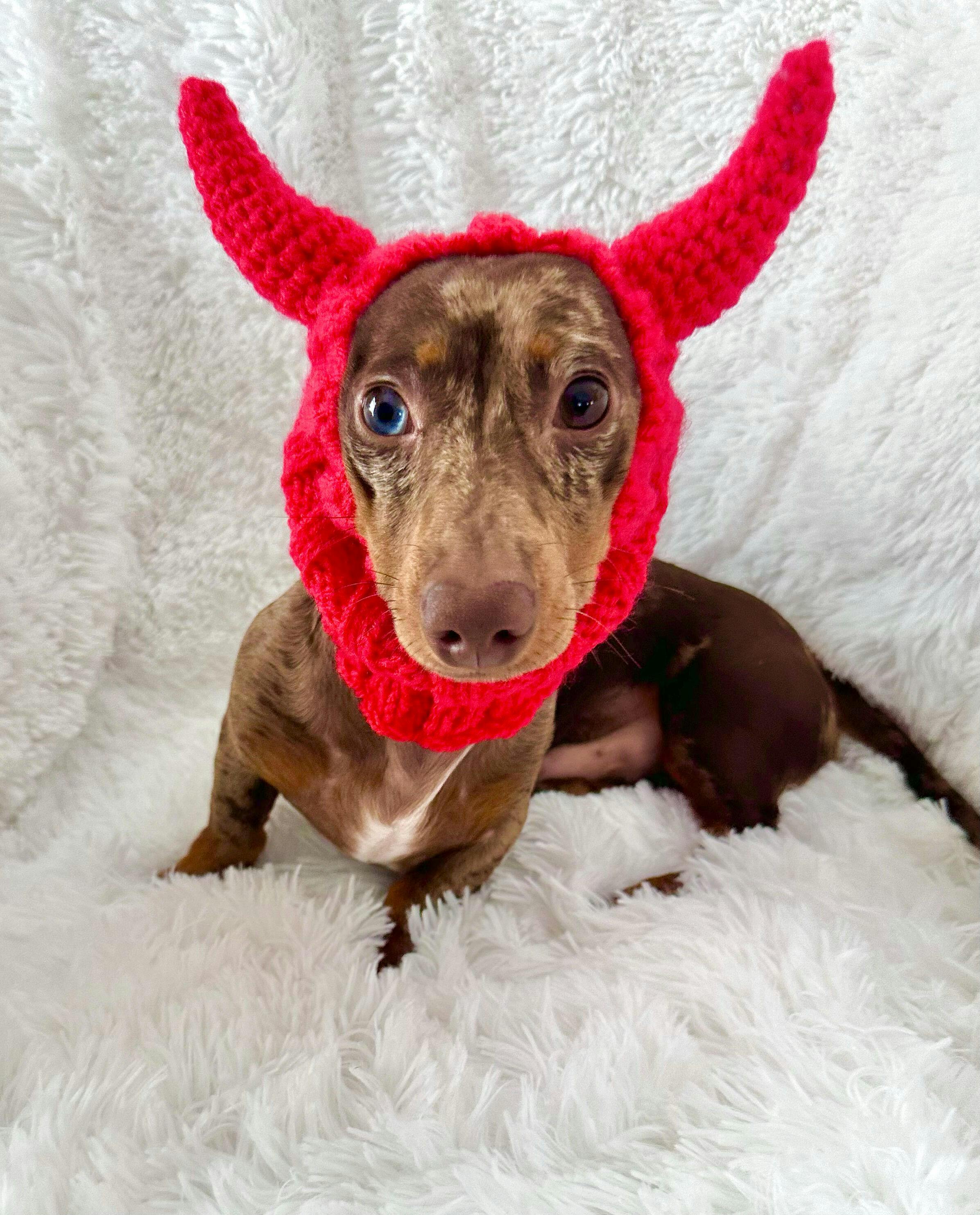 Devil Snood - The Perfect Dog Snood For Small, Medium And Large Dogs ...