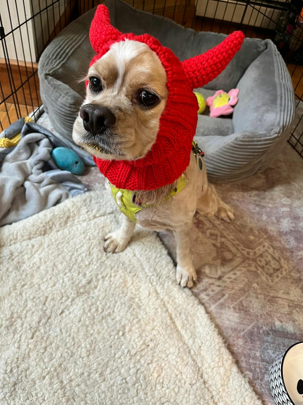 Snood Dog Zoo Snoods Panda Costume Warm Knit Dog Snood Wrap For