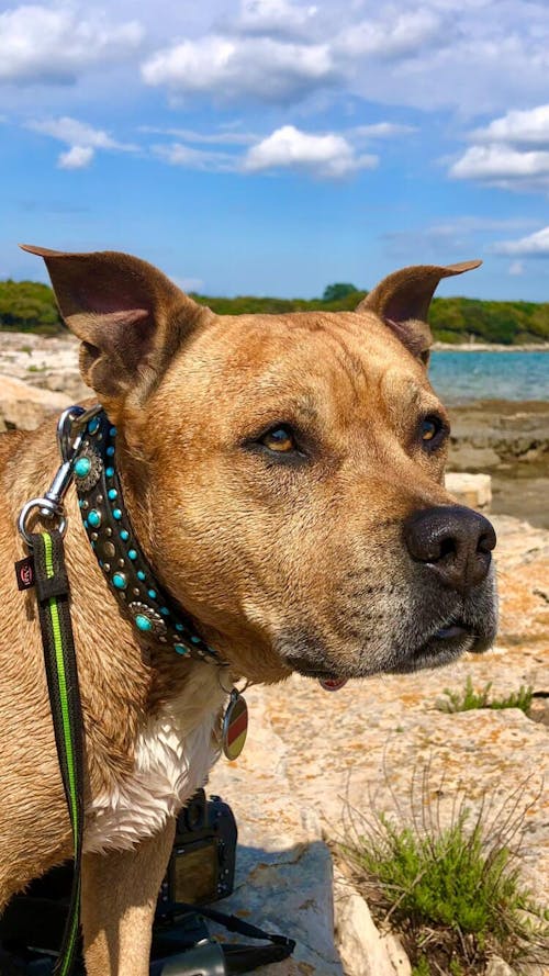 Markus-Mühle True Nature