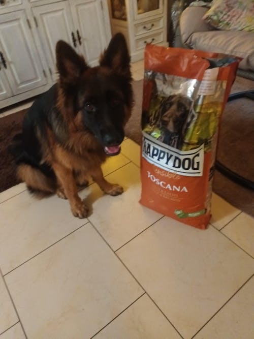 Happy Dog Sensible Toscana Ente & Lachs