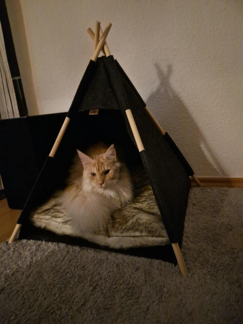 TRIXIE Kuschelhöhle Tipi anthrazit
