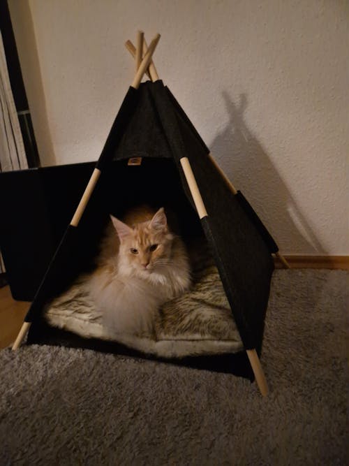 TRIXIE Kuschelhöhle Tipi anthrazit