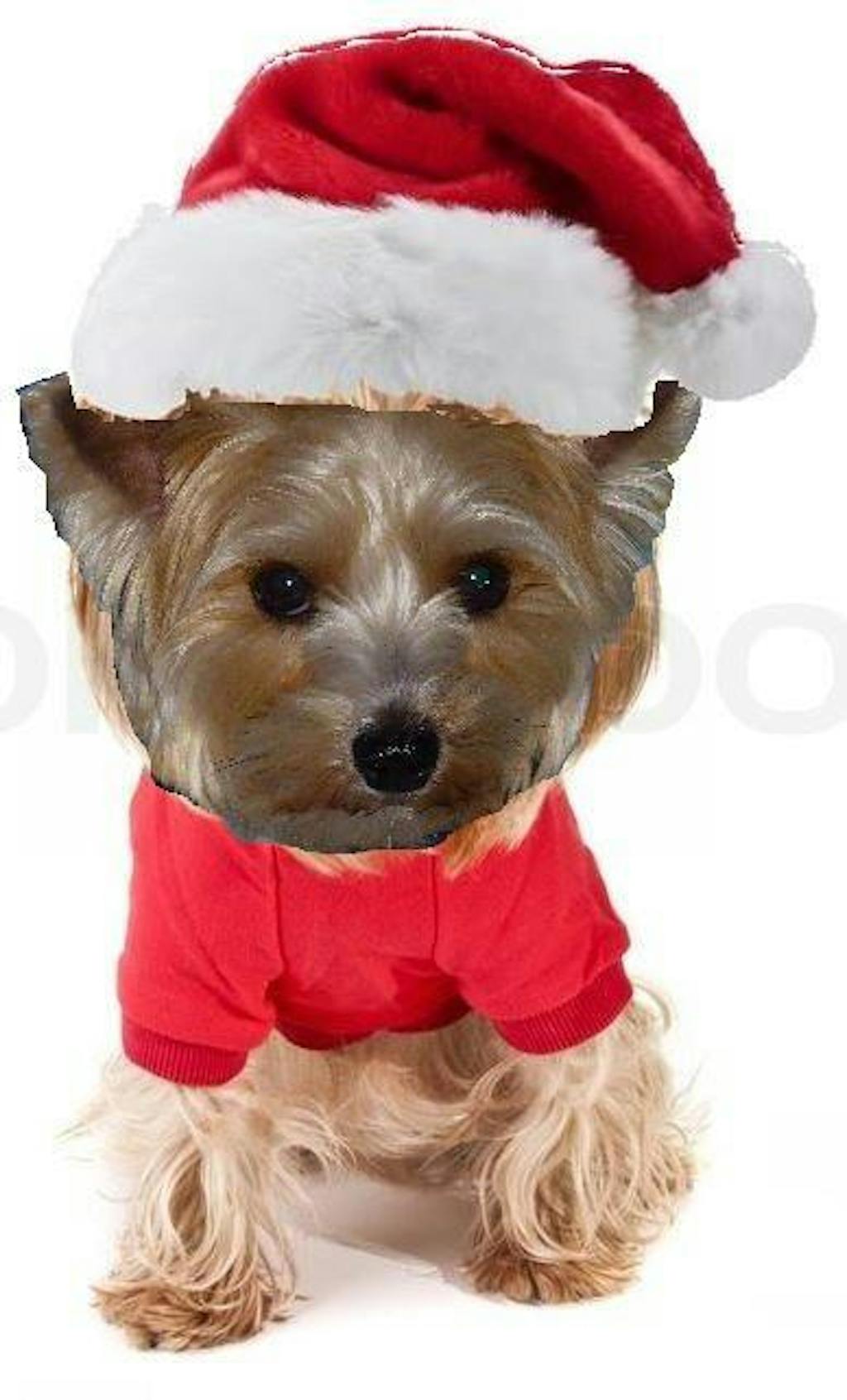 Vitakraft Chicken & Veggie Duo Karotten-Hühnchen-Sticks 80g