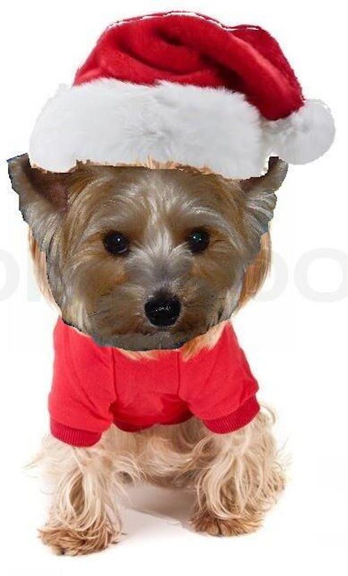 Vitakraft Chicken & Veggie Duo Karotten-Hühnchen-Sticks 80g