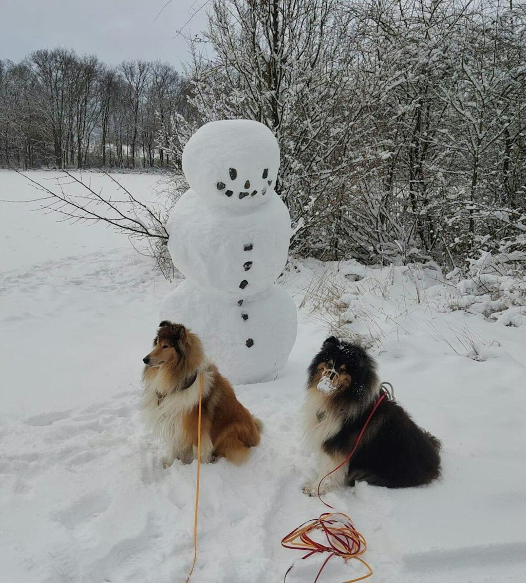 OLEWO Karotten-Pellets