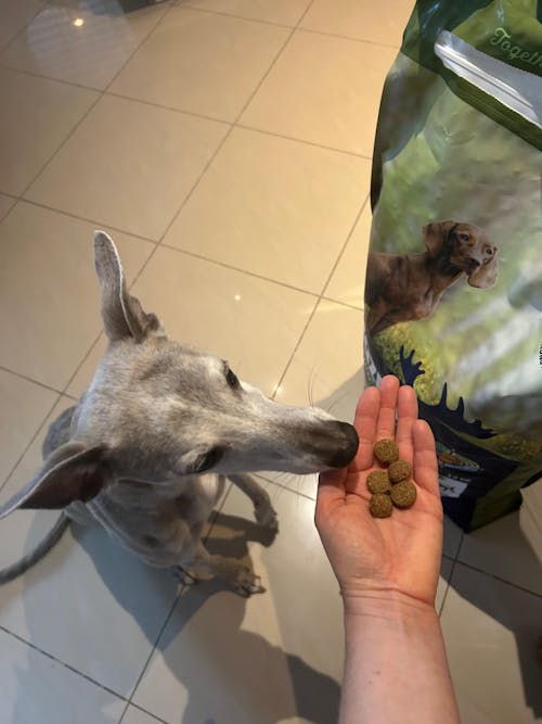 Bozita Original Adult Flavour Plus mit Rentier