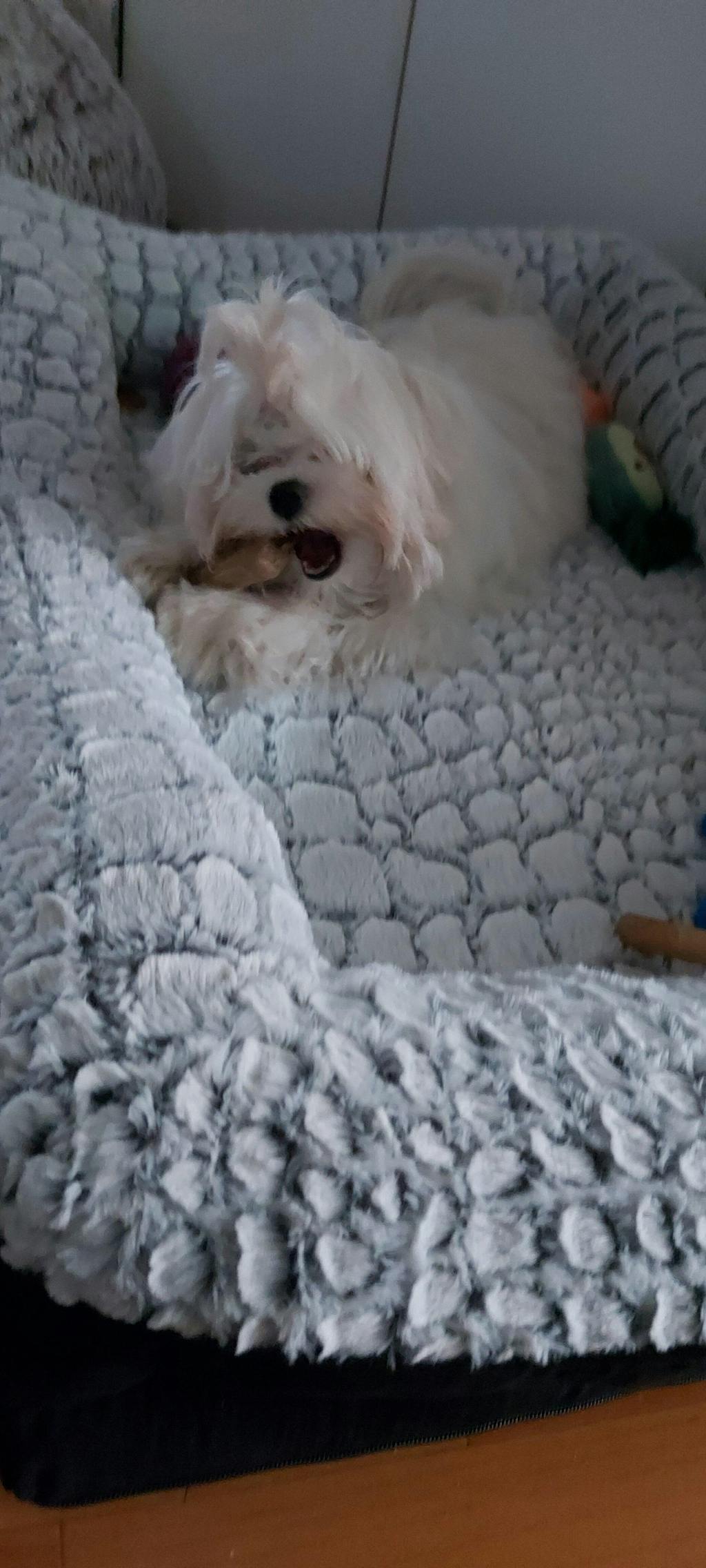 TRIXIE Vital Bett Lino, eckig