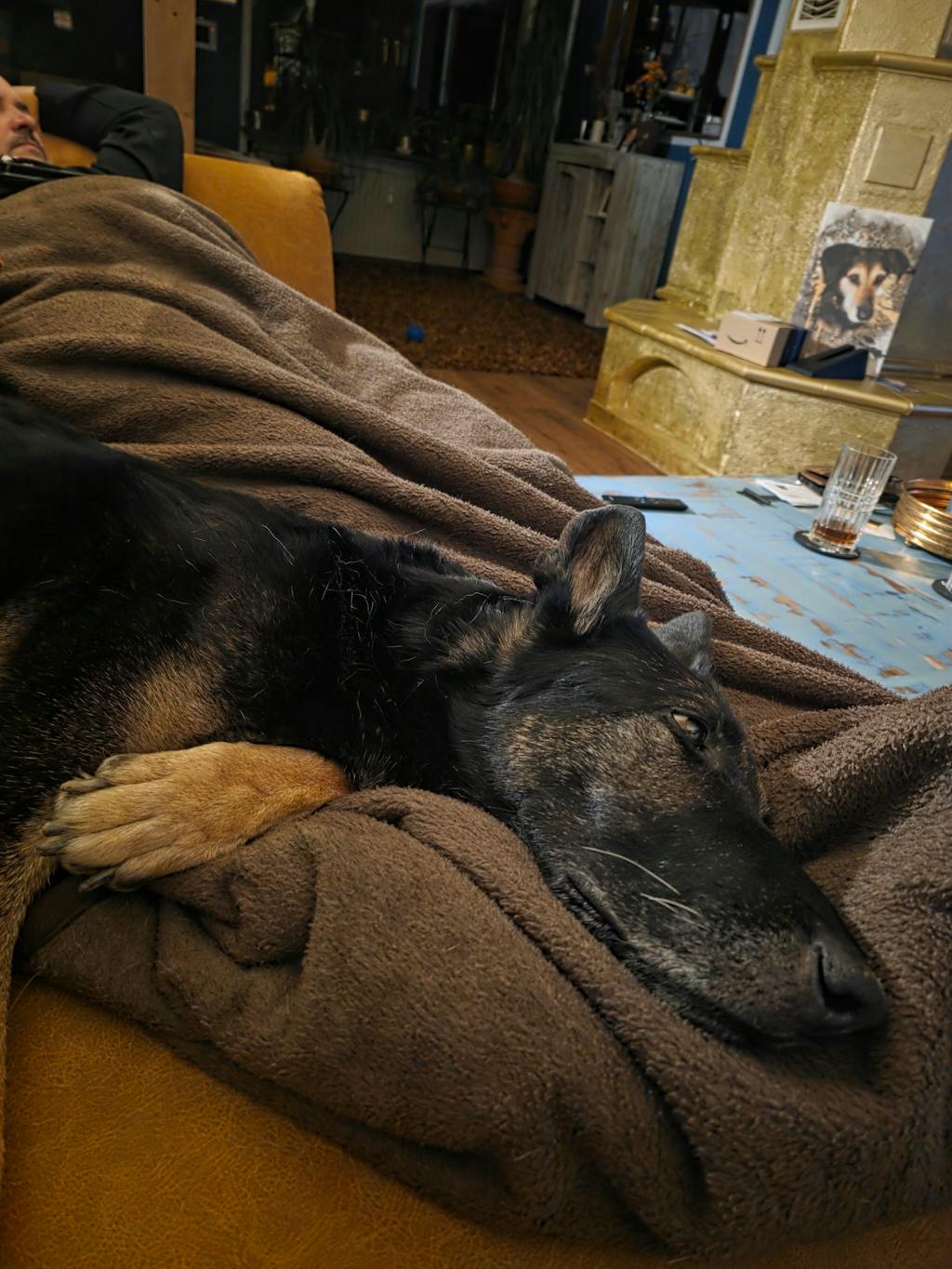 Happy Dog Sensible Pure Montana Pferd Pur 800 g