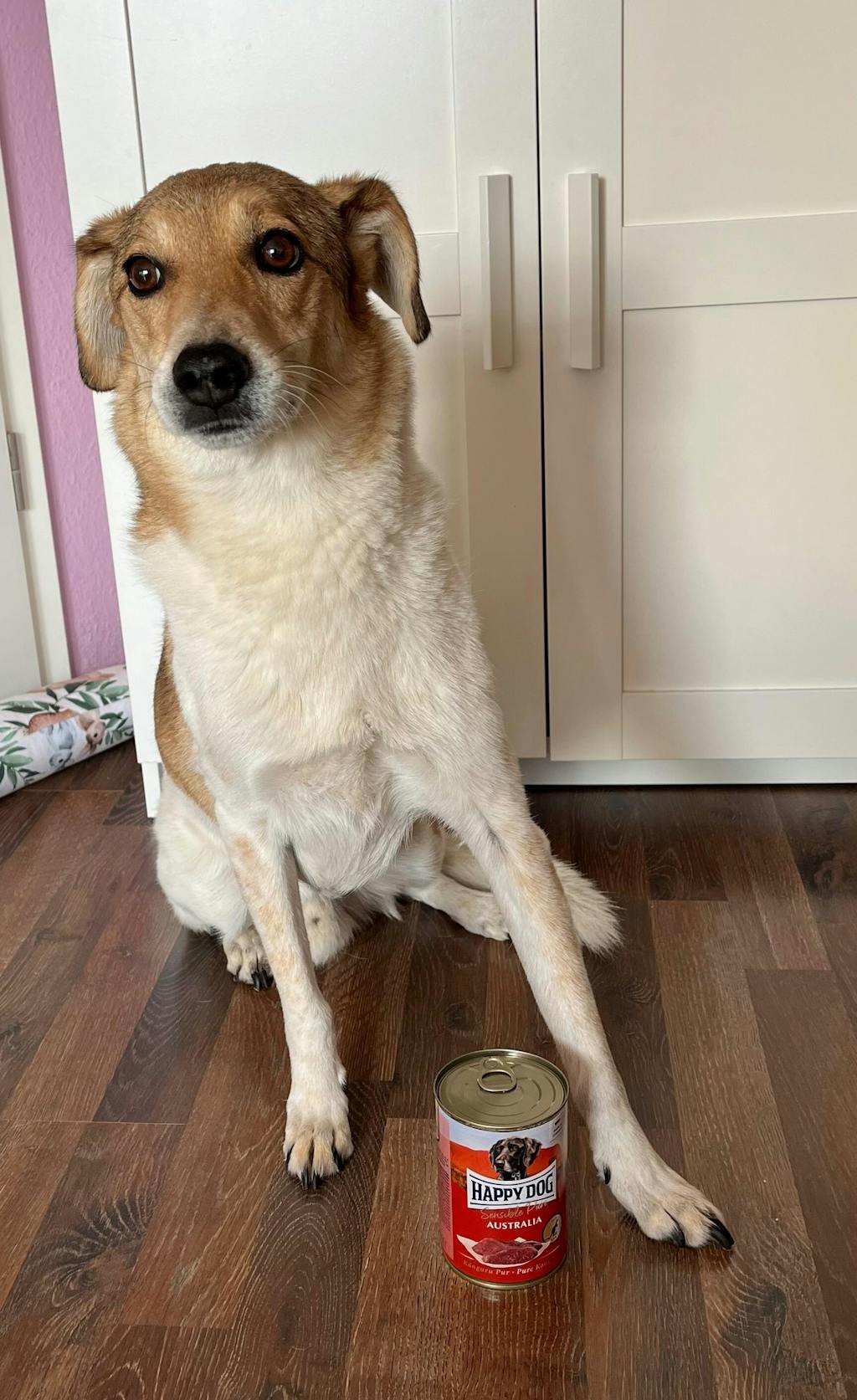 Happy Dog Sensible Pure Australia Känguru Pur 400 g