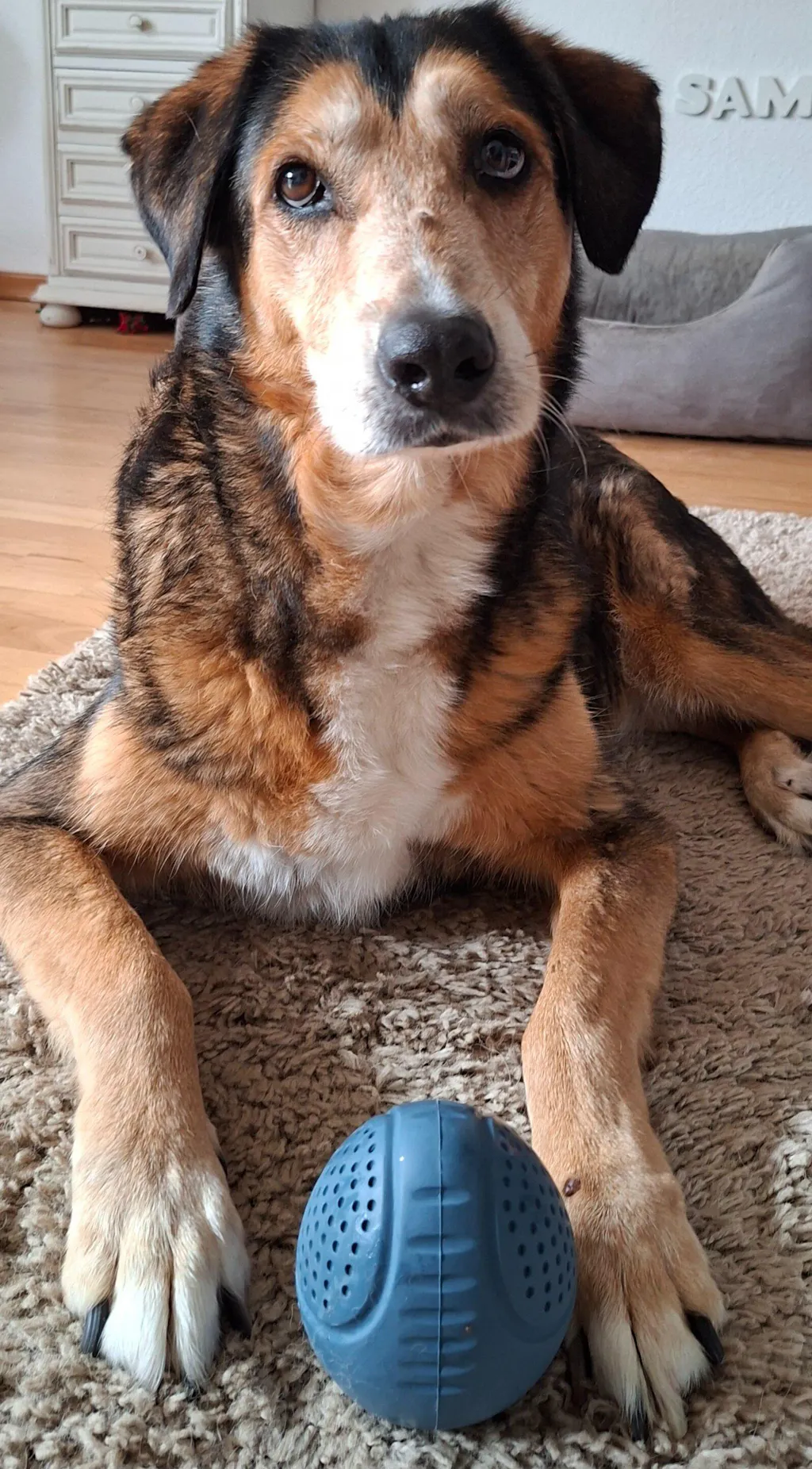 TRIXIE Steh-Auf-Snack-Ei Naturgummi