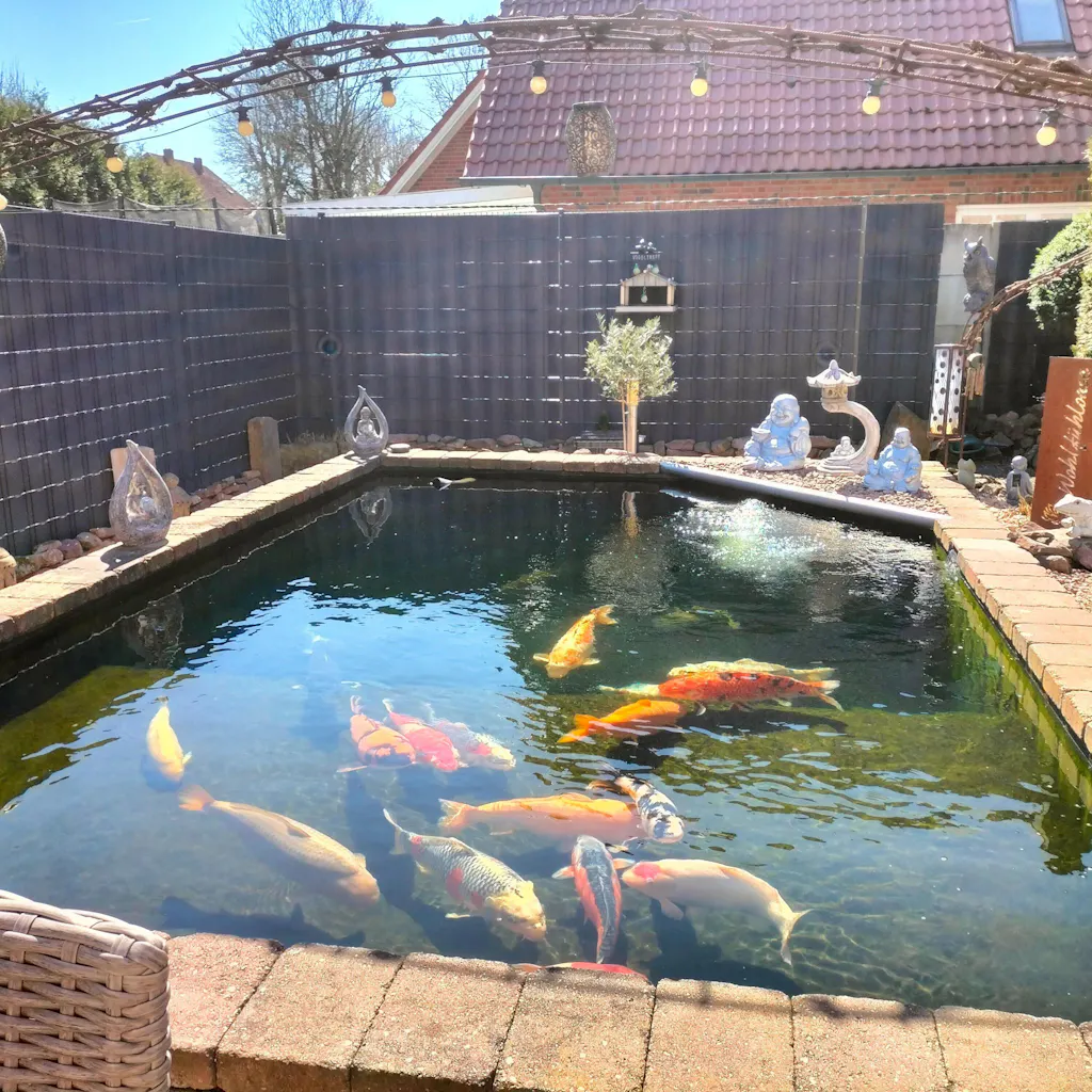 ALKOTE Profi-Mix 6 mm