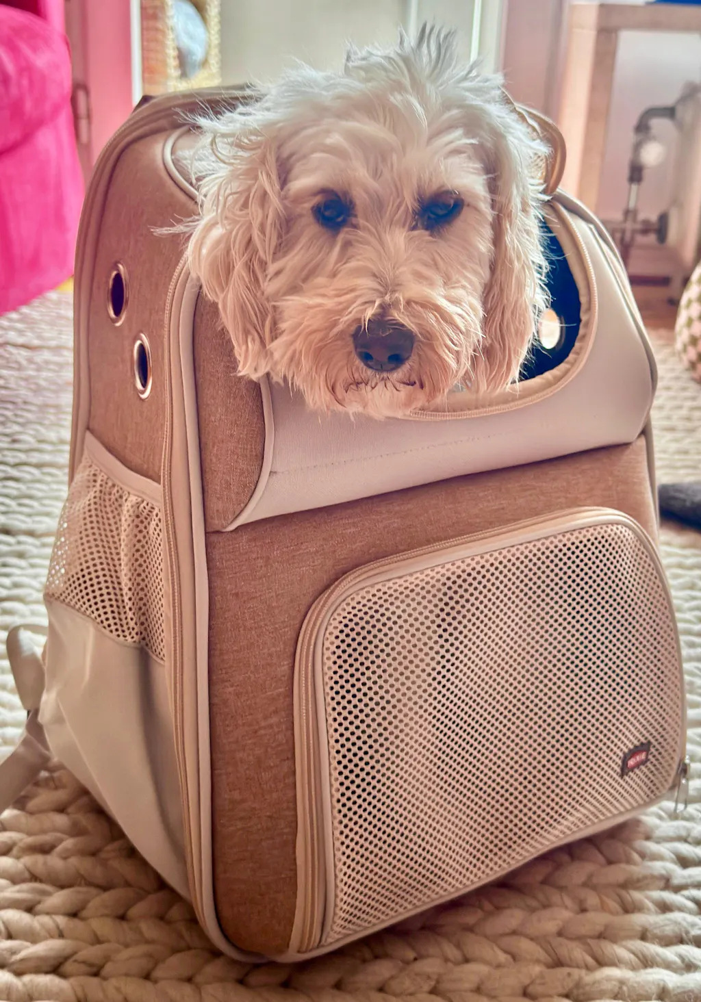 TRIXIE Rucksack Willow