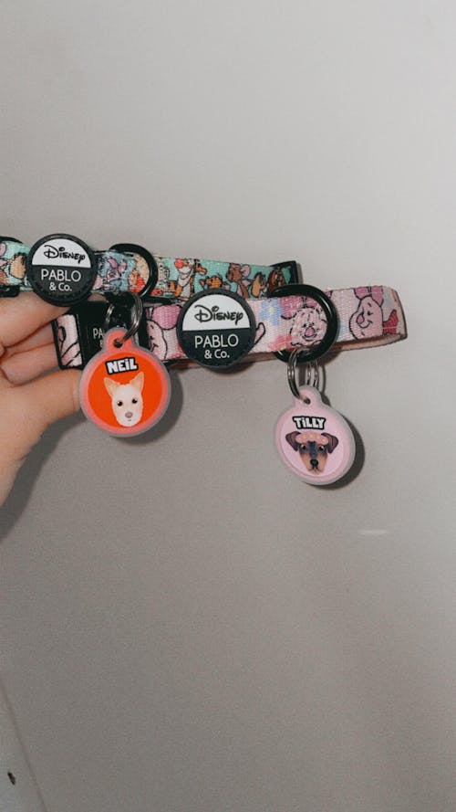 Dog Tag - Portrait